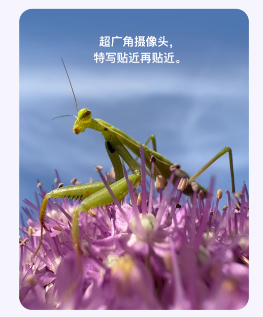 1749272823972853.png 搜狗高速浏览器截图20250607130619.png