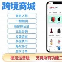 跨境电商系统商城源码支持多国语言多货币店铺保证金推广员系统一件铺货多商户
